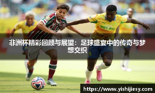 非洲杯精彩回顾与展望：足球盛宴中的传奇与梦想交织